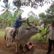 ���������� ������, ���� ������� ������, 55 ���, ������������ ��� ������, ����� � ���������, ���������