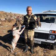 ���������� ������, ���� ������� �����, 56 ���, ������������ ��� ������, ����� � ���������, c�������� ���������