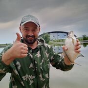 ���������� ������, ���� ������� �����, 36 ���, ������������ 