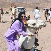 ���������� ������, ���� ������� ���������, 27 ���, ������������ ��� c�������� ���������