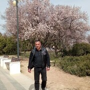 ���������� ����, ���� ������� �����, 52 ����, ������������ ��� ������, ����� � ���������