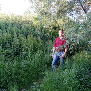 ���������� ������, ���� ������� ������, 38 ���, ������������ ��� ������, ����� � ���������, c�������� ���������