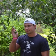  ,   , 41 ,   ,   