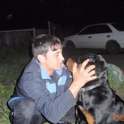  ,   Azizilove, 41 ,   ,   , c 
