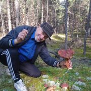 ���������� �����, ���� ������� ���������, 70 ���, ������������ ��� c�������� ���������