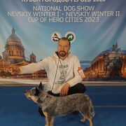 ���������� �����-���������, ���� ������� Dino, 47 ���, ������������ ��� ������, ����� � ���������, c�������� ���������