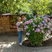 ������� 2024���