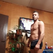  Pleven,   , 37 ,   