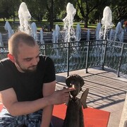 ���������� �����-���������, ���� ������� ������, 40 ���, ������������ ��� ����� � ���������, c�������� ���������