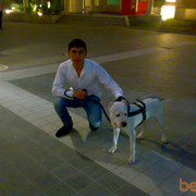 ���������� ����, ���� ������� �����, 32 ����, ������������ ��� ������