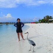 ���������� ����, ���� ������� �����, 43 ����, ������������ ��� ������, ����� � ���������