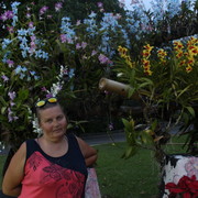  ,   , 65 ,  