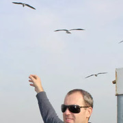  ,   , 55 ,   
