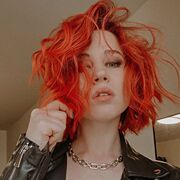 ���������� �����, ������