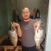  ,   Zohid, 31 ,   ,   