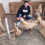 ���������� �������, ���� ������� ����, 37 ���, ������������ ��� ������, ����� � ���������, c�������� ���������