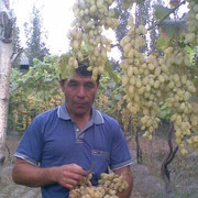 ���������� �������, ���� ������� Maksad, 48 ���, ������������ ��� ����� � ���������, c�������� ���������, ���������