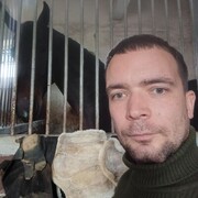  ,   , 38 ,   c 
