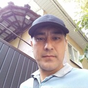  ,    , 41 ,     