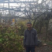 ���������� �������, ���� ������� �����, 33 ����, ������������ ��� ������, ����� � ���������, c�������� ���������