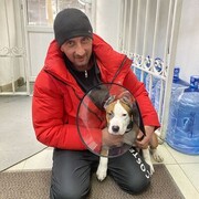 ���������� ������-��-����, ���� ������� �����Stereo, 43 ����, ������������ ��� c�������� ���������