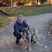 ���������� �����-���������, ���� ����� ������, 20 ���, ������������ ��� ������, ����� � ���������