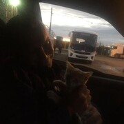 ���������� ������, ���� ������� �������, 36 ���, ������������ ��� ������, ����� � ���������, c�������� ���������, ���������