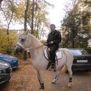 ���������� ������, ���� ������� ����, 49 ���, ������������ ��� ����� � ���������, c�������� ���������