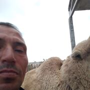 ���������� �����������, ���� ������� �������, 47 ���, ������������ ��� ������, ����� � ���������