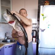  ,   , 41 ,     , c , 