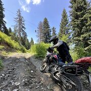 ���������� ������, ���� ������� �����, 39 ���, ������������ ��� ������, ����� � ���������, c�������� ���������