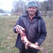  ,   , 51 ,   ,   