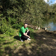 ���������� ����������, ���� ������� ����, 33 ����, ������������ ��� ����� � ���������, c�������� ���������