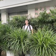 ���������� �����������-��-�����, ���� ������� �����, 32 ����, ������������ ��� c�������� ���������