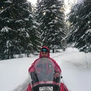  ,   Maksim, 43 ,   ,   , c 