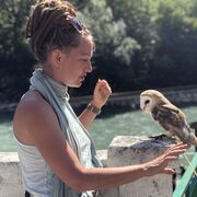 ���������� �������, ���� ������� ����, 39 ���, ������������ ��� ����� � ���������, c�������� ���������