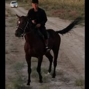 ���������� ������, ���� ����� �������, 22 ����, ������������ ��� ����� � ���������, c�������� ���������, ���������