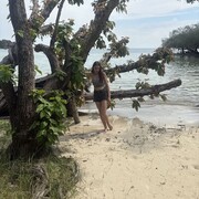 ���������� ����������, ���� ������� ����, 27 ���, ������������ ��� c�������� ���������