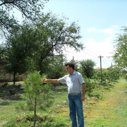  ,   , 57 ,   ,   , c 