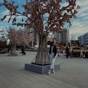  ,   , 23 ,     