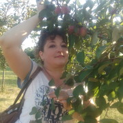  ,   , 52 ,  