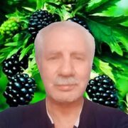  ,   , 72 ,     , c 