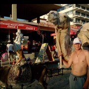 ���������� ������, ���� ������� ����, 53 ����, ������������ ��� ������, ����� � ���������, c�������� ���������