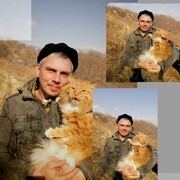  ,   , 46 ,   ,   , c 