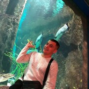  ,   , 35 ,   ,   
