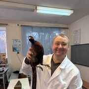 ���������� ��������������, ���� ������� ��������, 40 ���, ������������ ��� ������, ����� � ���������, c�������� ���������, ���������