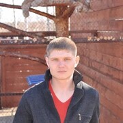 ���������� ����������, ���� ������� ��������, 36 ���, ������������ ��� ������, ����� � ���������, c�������� ���������