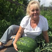 ���������� ����������, ���� ������� ����, 62 ����, ������������ ��� c�������� ���������