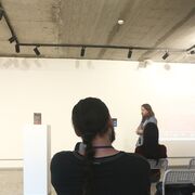 ���������� �������, ���� ������� Roman, 30 ���, ������������ ��� ������, ����� � ���������, ���������