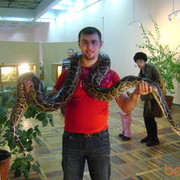  ,   , 41 ,   